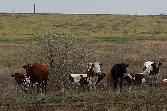 Фермеров на Украине лишили права на землю