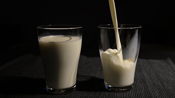 Россельхознадзор попросил Армению остановить поставки молочной продукции в РФ
